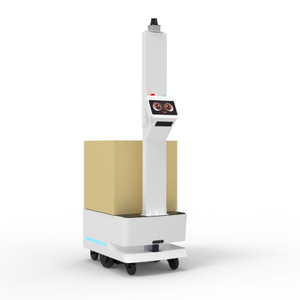 Autonomous Mobile Robots (amrs) Equipped with Integrated Top-mounted Pallet Lift Mechanism-GAMR1