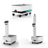 Autonomous Mobile Robots (amrs) Equipped with Integrated Top-mounted Pallet Lift Mechanism-GAMR1