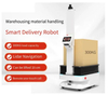 Autonomous Mobile Robots (amrs) Equipped with Integrated Top-mounted Pallet Lift Mechanism-GAMR1