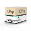 Autonomous Mobile Robots (amrs) Equipped with Integrated Top-mounted Pallet Lift Mechanism-GAMR1